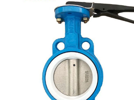 A Type PTFE Seat Butterfly Valve